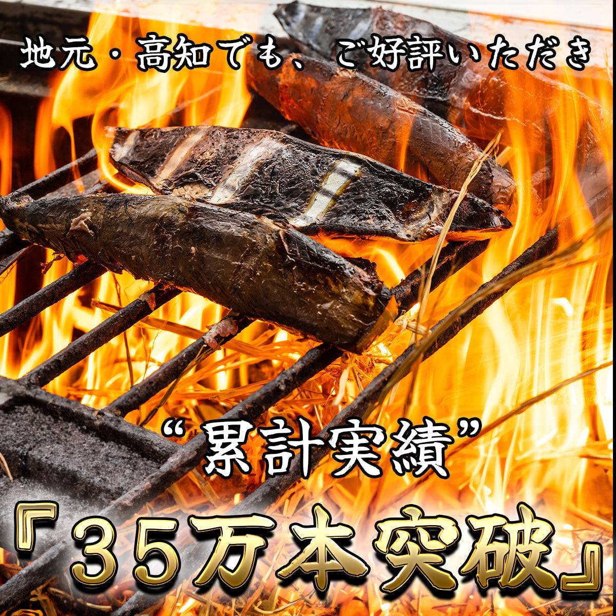【ギフトセット】 生鰹のタタキ 1~2節 ＋ 天然うなぎ 1~2尾 【土佐黒潮水産】公式オンラインショップ 黒潮水産