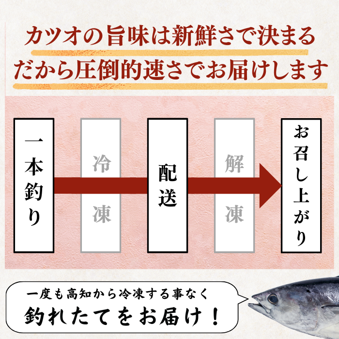 Straw-grilled Bonito Tataki - Raw <Serves 1-8: 250-1500g, 0.5-3 whole loins>