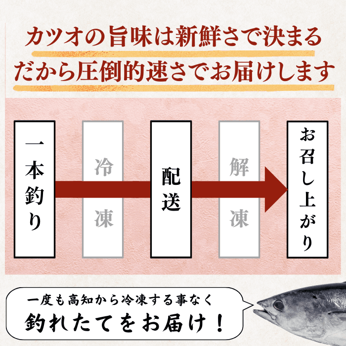 Straw-grilled Bonito Tataki - Raw <Serves 1-8: 250-1500g, 0.5-3 whole loins>