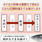 Straw-grilled Bonito Tataki - Raw <Serves 1-8: 250-1500g, 0.5-3 whole loins>