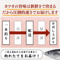 Straw-grilled Bonito Tataki - Raw <Serves 1-8: 250-1500g, 0.5-3 whole loins>