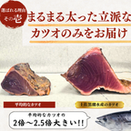 Fresh Bonito Sashimi (Number of pieces: 1-3, Weight: 500-1500g, Serves: 2-9 people)