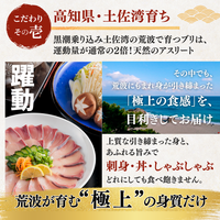 【お刺身セット2種】生カツオのタタキ(1節 or 半節)+ブリ柵(150g)