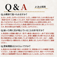 【活き】ハマグリ　＜1枚：40g程＞