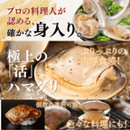 【BBQセット/貝づくし】ハマグリ/サザエ/あわび