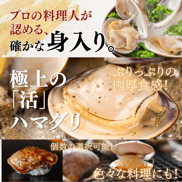 【BBQセット/貝づくし】ハマグリ/サザエ/あわび