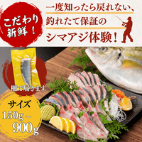 Striped Jack Sashimi ＜1 block, Net Wt. 150g＞