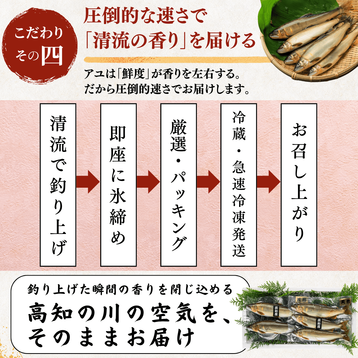 天然アユ こだわり 清流で釣り上げ 即座に氷締め 厳選パッキング 急速冷凍発送