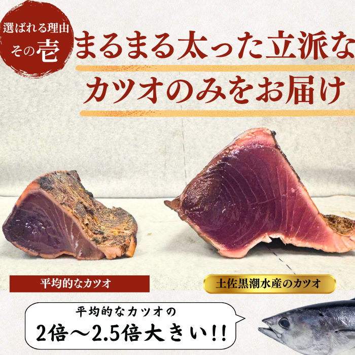 Frozen Bonito Sashimi ＜Number: 1/2 pc (x2) - 3 pcs. Weight: 500-1500g. Servings: 2-9 people.＞