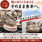 【BBQセット/貝づくし】ハマグリ/サザエ/あわび