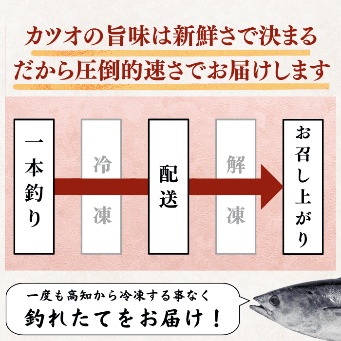 Straw-grilled Bonito Tataki - Raw <Serves 1-8: 250-1500g, 0.5-3 whole loins>