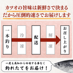 Straw-grilled Bonito Tataki - Raw <Serves 1-8: 250-1500g, 0.5-3 whole loins>