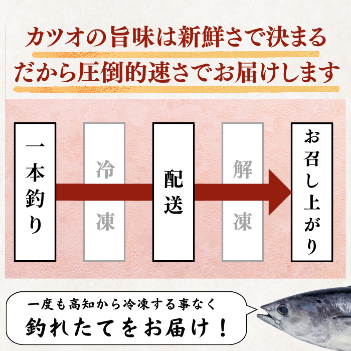 藁焼き -生- 鰹のタタキ ＜本数：半本〜3本セット 量：250~1500g　目安：1~8人前＞