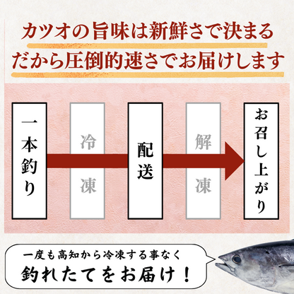 藁焼き -生- 鰹のタタキ ＜本数：半本〜3本セット 量：250~1500g　目安：1~8人前＞