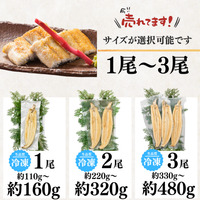 天然うなぎ 白焼き ＜匹数：1~3尾　量：110~480g＞