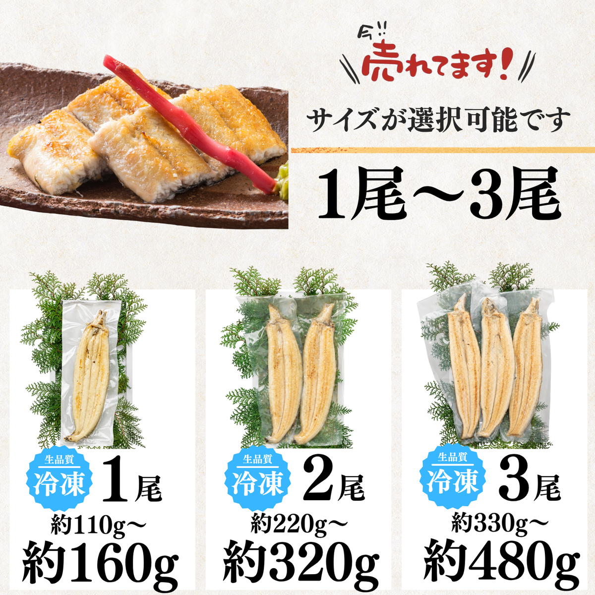 天然うなぎ 白焼き ＜匹数：1~3尾　量：110~480g＞
