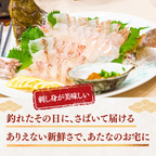 Flounder Sashimi + Engawa (fin muscle) <1 block: 170g>