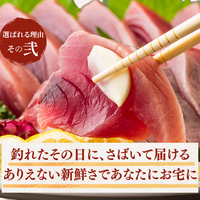 Fresh Bonito Sashimi (Number of pieces: 1-3, Weight: 500-1500g, Serves: 2-9 people)