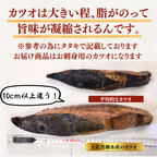 Frozen Bonito Sashimi ＜Number: 1/2 pc (x2) - 3 pcs. Weight: 500-1500g. Servings: 2-9 people.＞