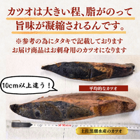 Frozen Bonito Sashimi ＜Number: 1/2 pc (x2) - 3 pcs. Weight: 500-1500g. Servings: 2-9 people.＞