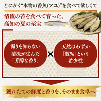 天然アユ 清流が生んだ芳醇な香りと数%という希少性