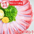【お刺身セット3種】生カツオのタタキ(1節 or 半節)+ビンチョウマグロ柵/ブリ柵(各150g)