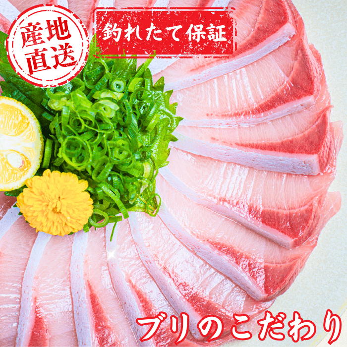 【お刺身セット3種】生カツオのタタキ(1節 or 半節)+ビンチョウマグロ柵/ブリ柵(各150g)