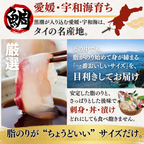 【お刺身セット5種】生カツオのタタキ(1節 or 半節)+ブリ/タイ/シマアジ/ヒラメ(各柵150g)