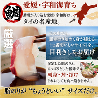 【お刺身セット5種】生カツオのタタキ(1節 or 半節)+ブリ/タイ/シマアジ/ヒラメ(各柵150g)