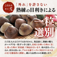 【BBQセット/貝づくし】ハマグリ/サザエ/あわび