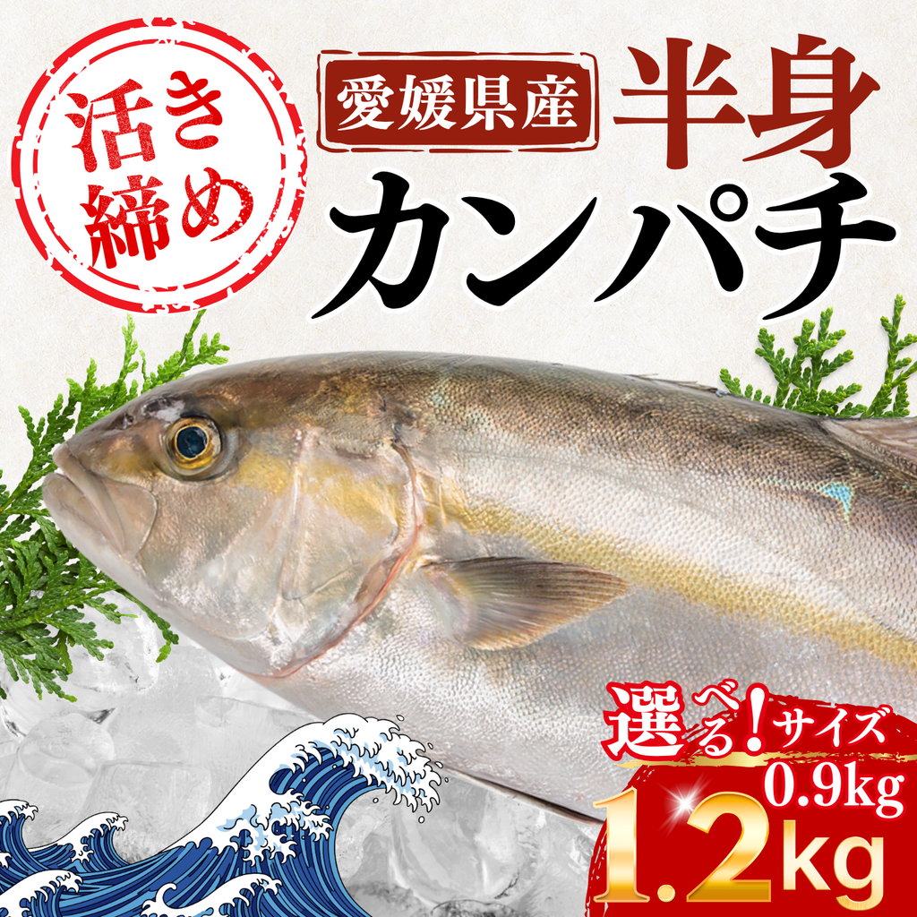 カンパチフィーレ ＜片身　量：900g～1.2kg＞