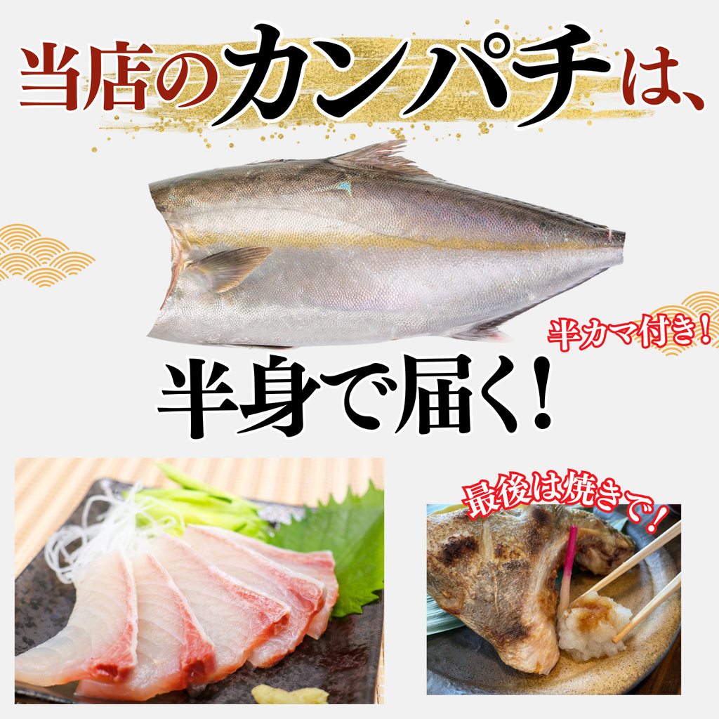 カンパチフィーレ ＜片身　量：900g～1.2kg＞