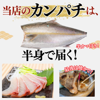 カンパチフィーレ ＜片身　量：900g～1.2kg＞
