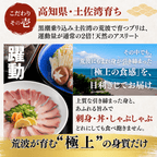 【お刺身セット3種】生カツオのタタキ(1節 or 半節)+ビンチョウマグロ柵/ブリ柵(各150g)
