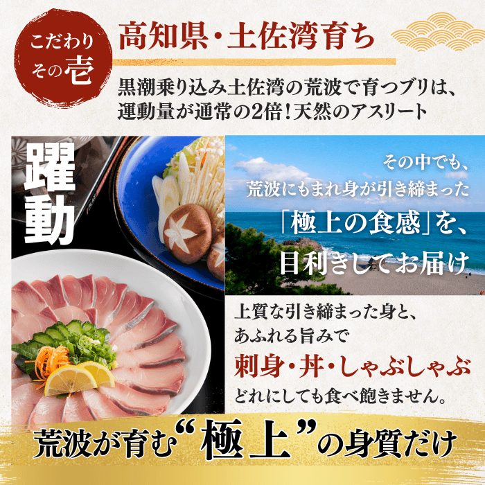 【お刺身セット3種】生カツオのタタキ(1節 or 半節)+ビンチョウマグロ柵/ブリ柵(各150g)