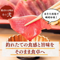 Frozen Bonito Sashimi ＜Number: 1/2 pc (x2) - 3 pcs. Weight: 500-1500g. Servings: 2-9 people.＞