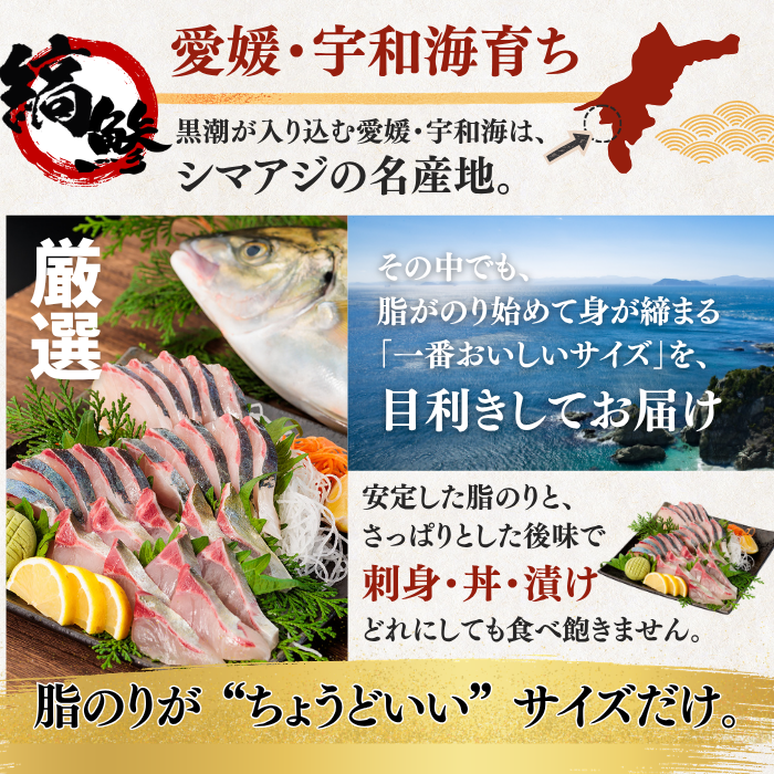 【お刺身セット5種】生カツオのタタキ(1節 or 半節)+ブリ/タイ/シマアジ/ヒラメ(各柵150g)