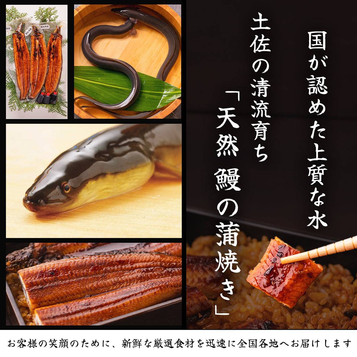 【ギフトセット】 生鰹のタタキ 1~2節 ＋ 天然うなぎ 1~2尾 【土佐黒潮水産】公式オンラインショップ 黒潮水産