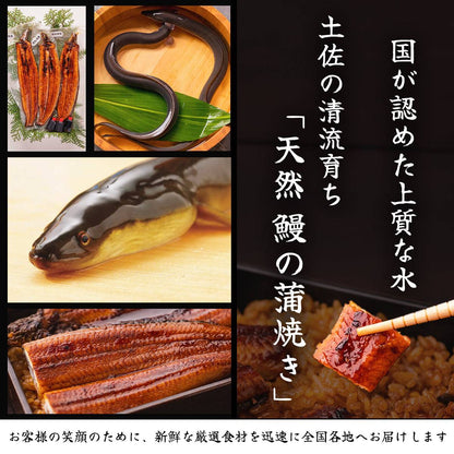 【ギフトセット】 生鰹のタタキ 1~2節 ＋ 天然うなぎ 1~2尾 【土佐黒潮水産】公式オンラインショップ 黒潮水産