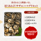 【BBQセット/貝づくし】ハマグリ/サザエ/あわび