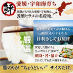 【お刺身セット5種】生カツオのタタキ(1節 or 半節)+ブリ/タイ/シマアジ/ヒラメ(各柵150g)