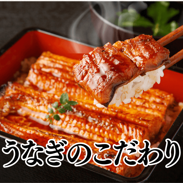 [Gift Set] Seared Bonito (Katsuo no Tataki), 1-2 fillets + Eel from Kochi Prefecture, 1-2 fish