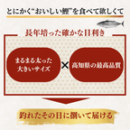 Straw-grilled Bonito Tataki - Raw <Serves 1-8: 250-1500g, 0.5-3 whole loins>