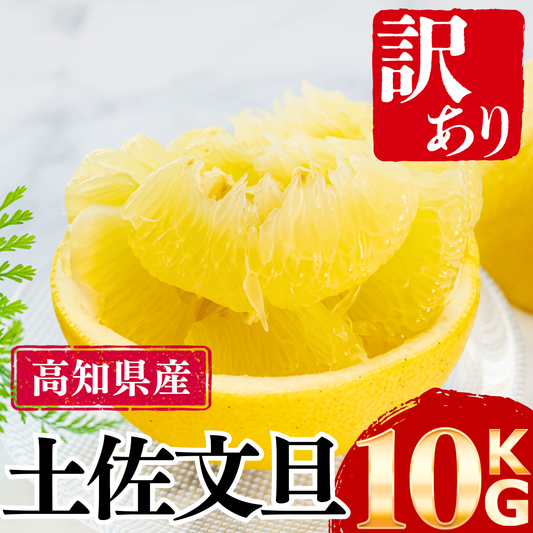 【家庭用】土佐文旦 ＜量：10kg＞