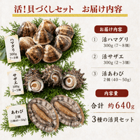 【BBQセット/貝づくし】ハマグリ/サザエ/あわび