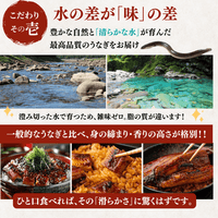 [Gift Set] Seared Bonito (Katsuo no Tataki), 1-2 fillets + Eel from Kochi Prefecture, 1-2 fish