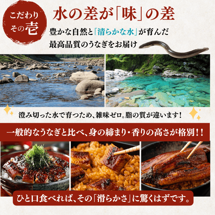 [Gift Set] Seared Bonito (Katsuo no Tataki), 1-2 fillets + Eel from Kochi Prefecture, 1-2 fish