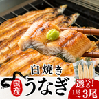 土佐の清流うなぎ 白焼きセット ＜匹数：1~3尾　量：160~480g＞