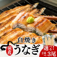 土佐の清流うなぎ 白焼きセット ＜匹数：1~3尾　量：160~480g＞
