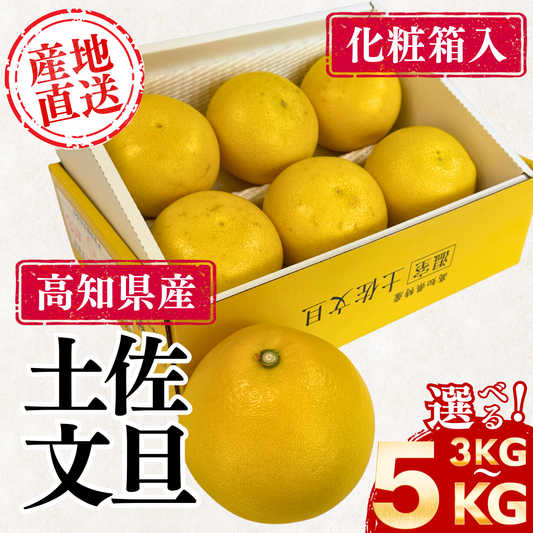 厳選土佐文旦【化粧箱入】 ＜サイズ：小(3㎏)or 大(5㎏)＞